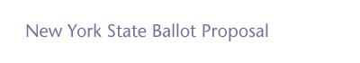new york state ballot proposal